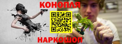 СК Обь