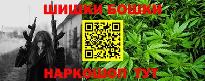 СК Обь
