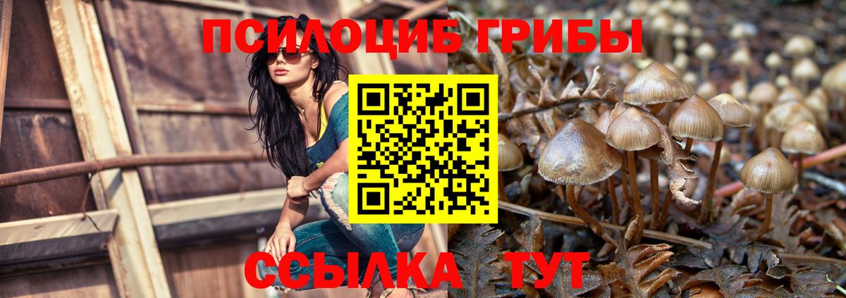 Уварово  Псилоцибиновые грибы Magic Shrooms  Вход с VPN  Галлюциногенные грибы MAGIC MUSHROOMS 