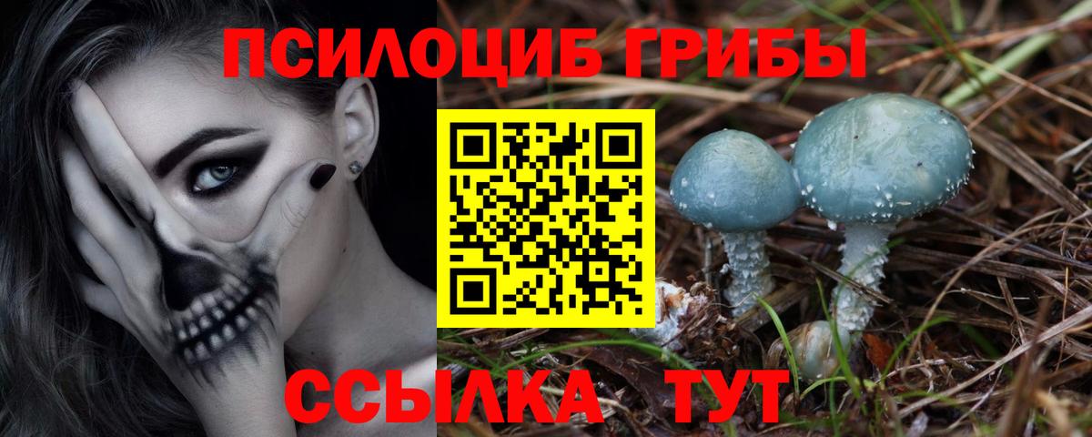 Галлюциногенные грибы мицелий Уварово
